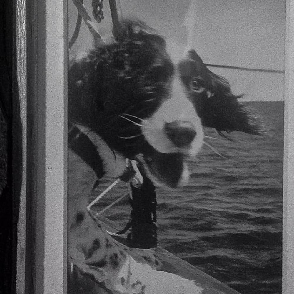 Meet your Posher, Morton